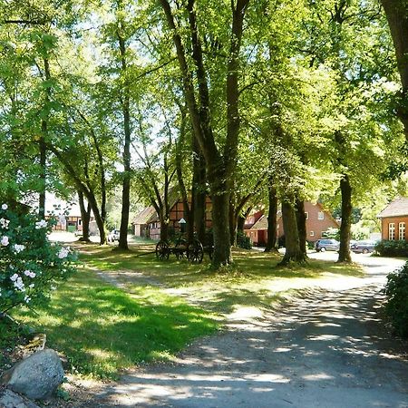 Ferienpension Lindenhof - Ferienwohnungen In Der Lueneburger Heide Marxen am Berge ภายนอก รูปภาพ