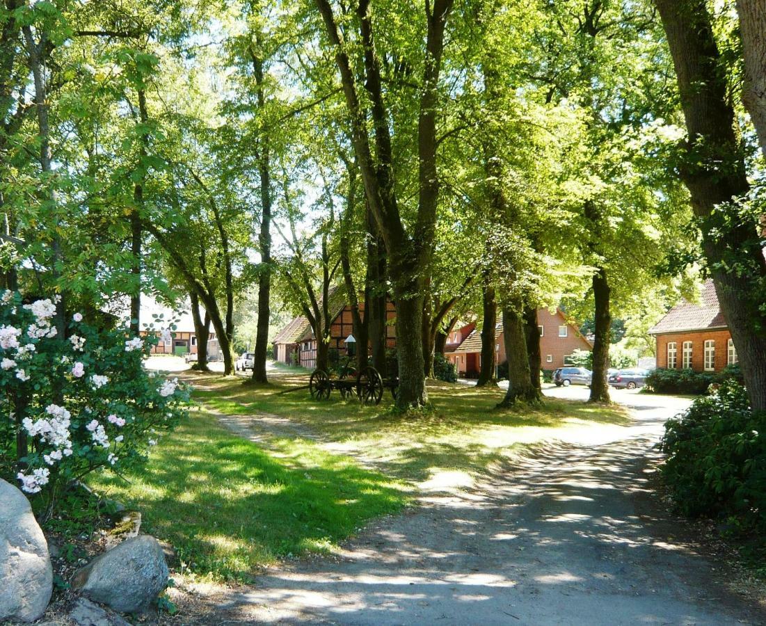Ferienpension Lindenhof - Ferienwohnungen In Der Lueneburger Heide Marxen am Berge ภายนอก รูปภาพ