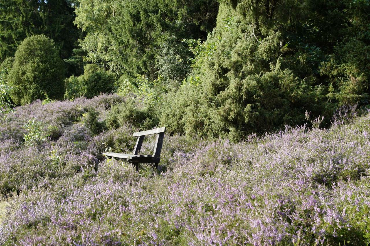 Ferienpension Lindenhof - Ferienwohnungen In Der Lueneburger Heide Marxen am Berge ภายนอก รูปภาพ